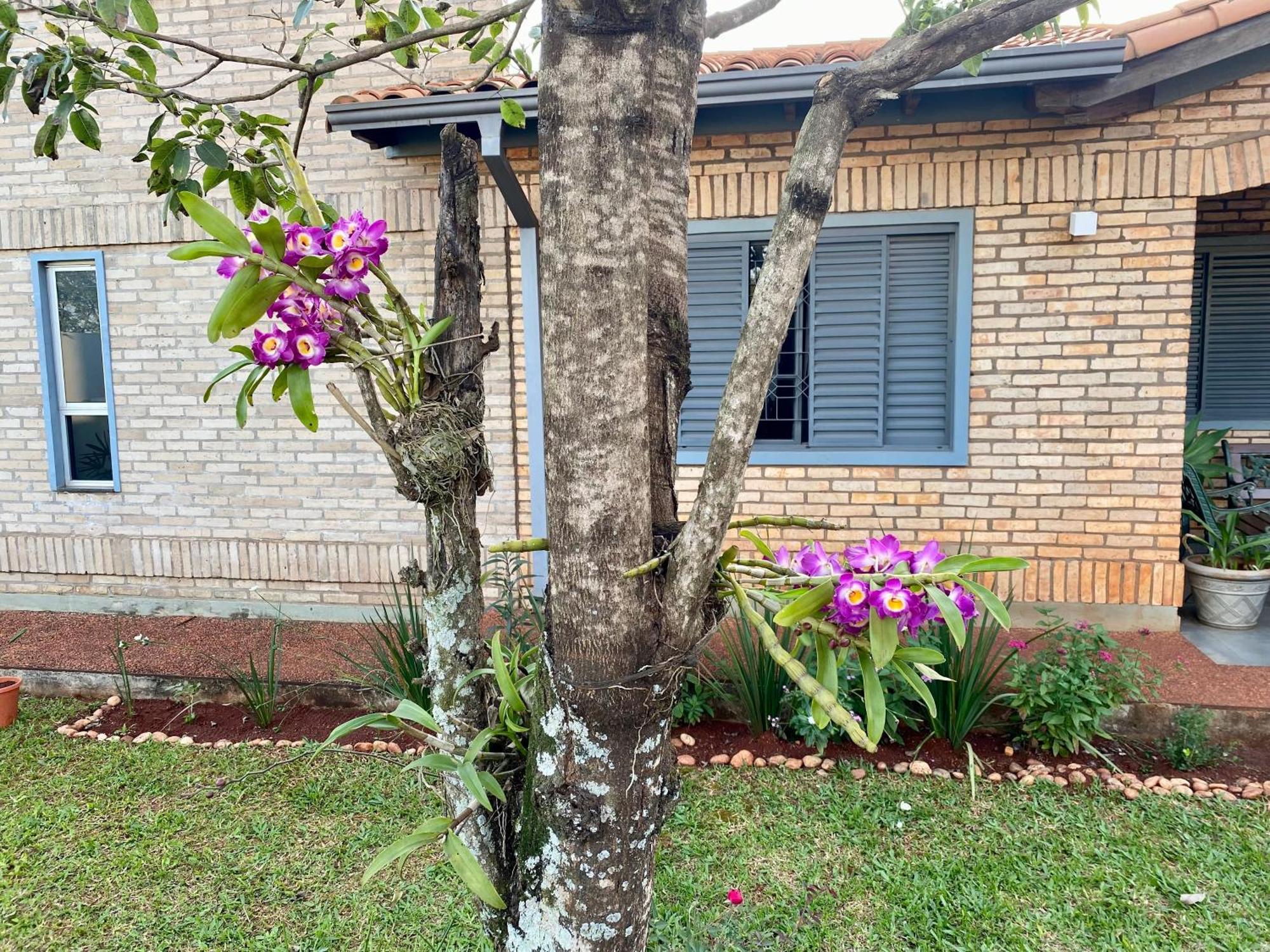 Moderna Y Unica Casa Independiente Con Jardin Y Estacionamiento Ciudad del Este Extérieur photo