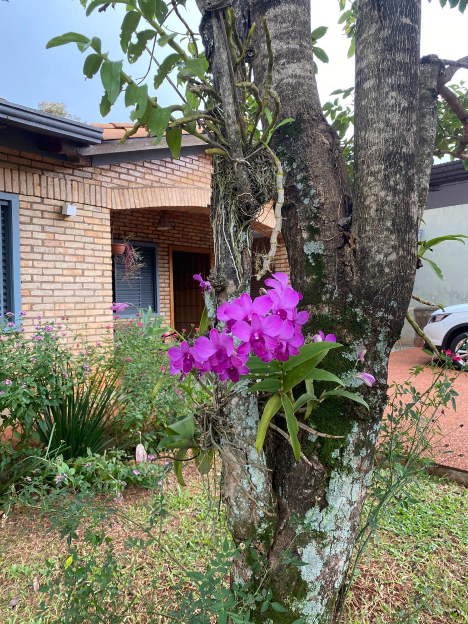 Moderna Y Unica Casa Independiente Con Jardin Y Estacionamiento Ciudad del Este Extérieur photo
